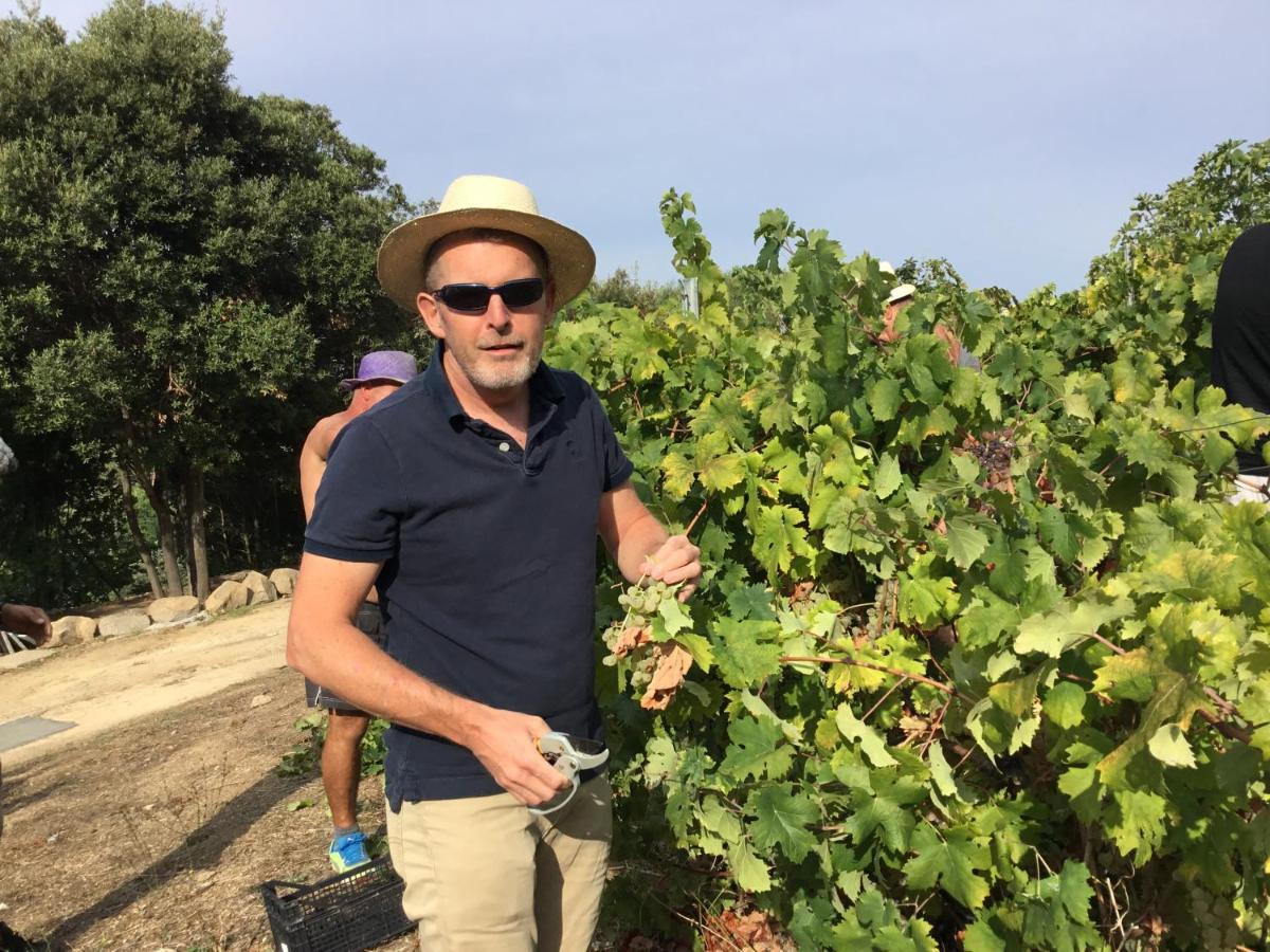 Tenuta Petra Manna