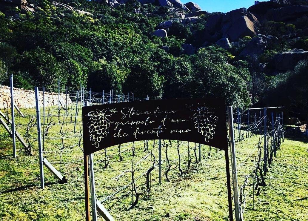 Tenuta Petra Manna * Palau